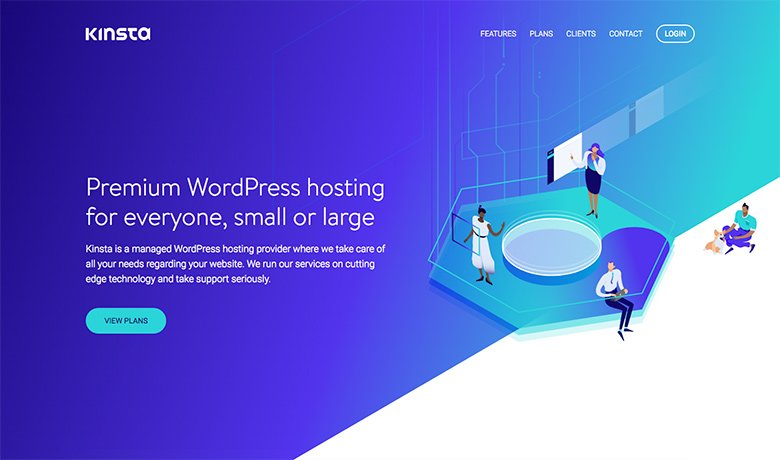 Kinsta’s site redesign uses custom graphics.