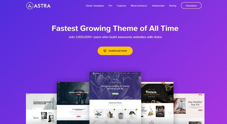 Astra Theme for WordPress