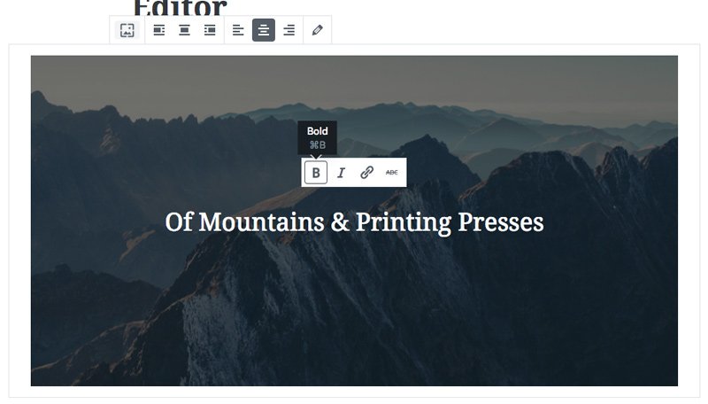 Editing the text in Gutenberg