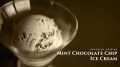 How to make Mint Chocolate Chip Ice Cream
